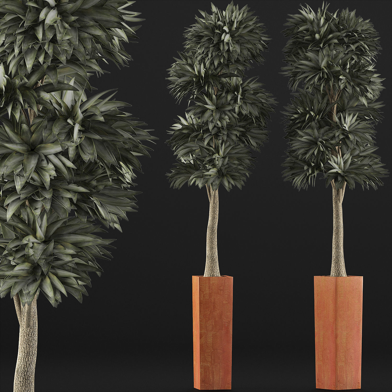 Plants Collection 102 3D model_2