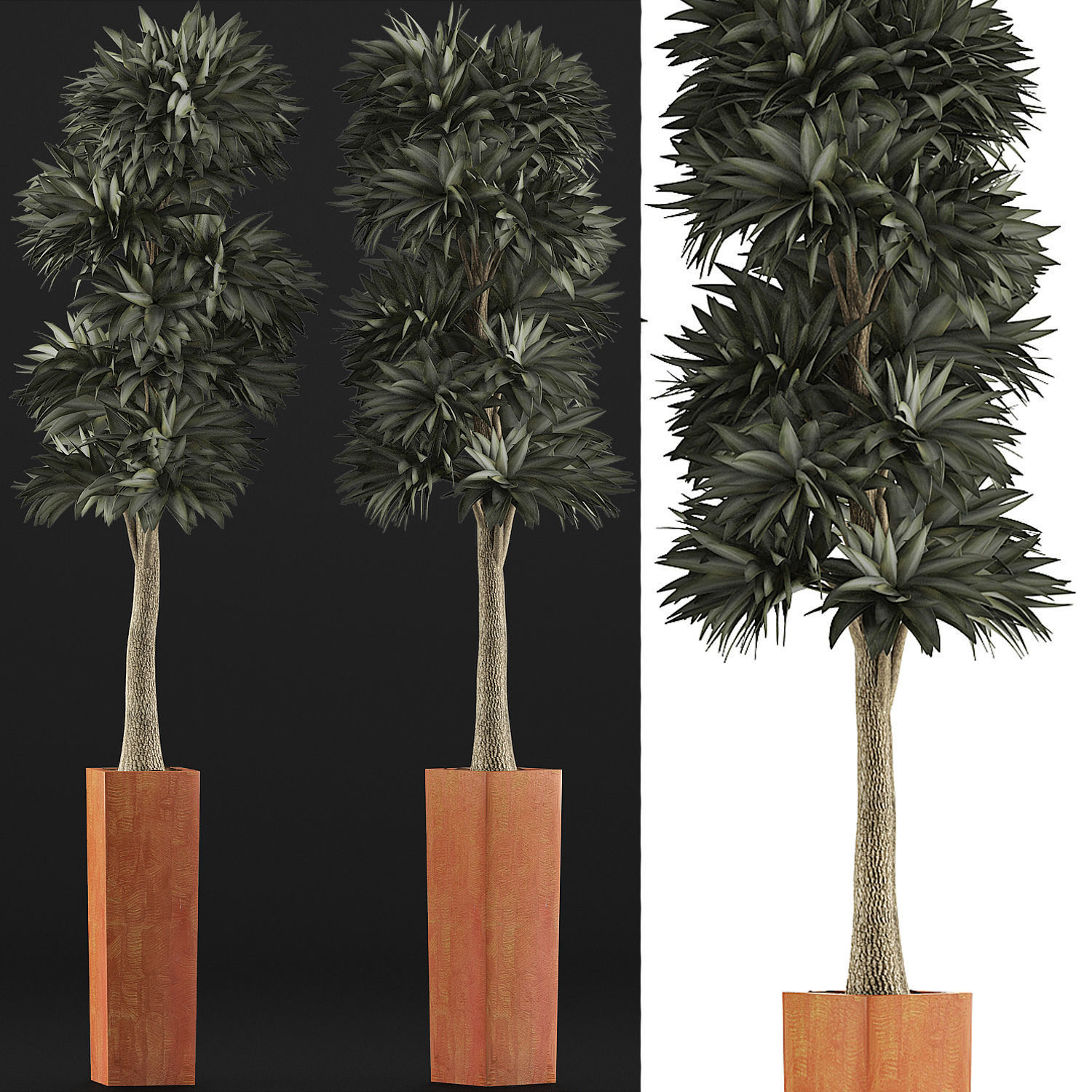 Plants Collection 102 3D model_3