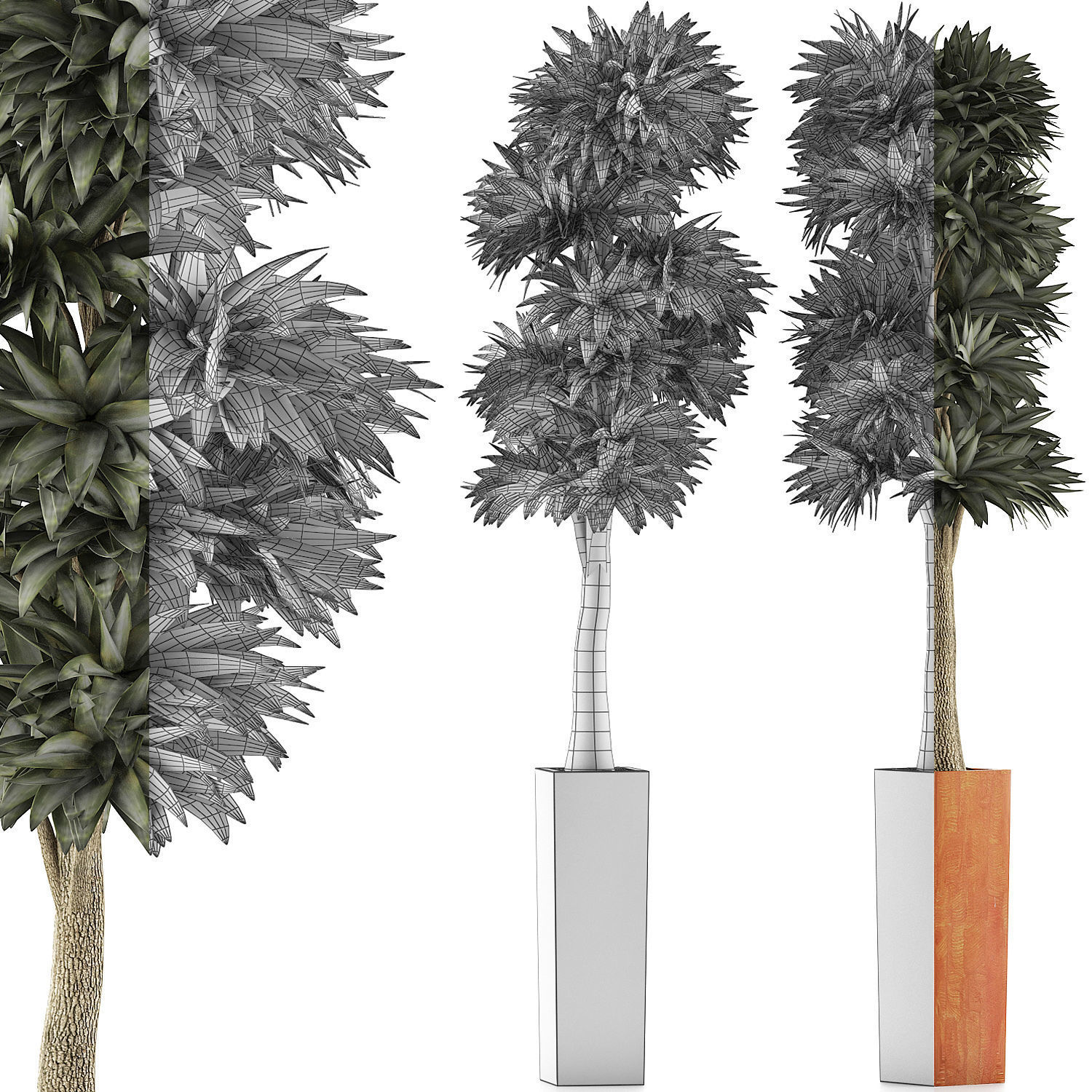 Plants Collection 102 3D model_7