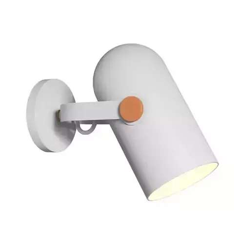 Favorite 2008 1W Ampolla