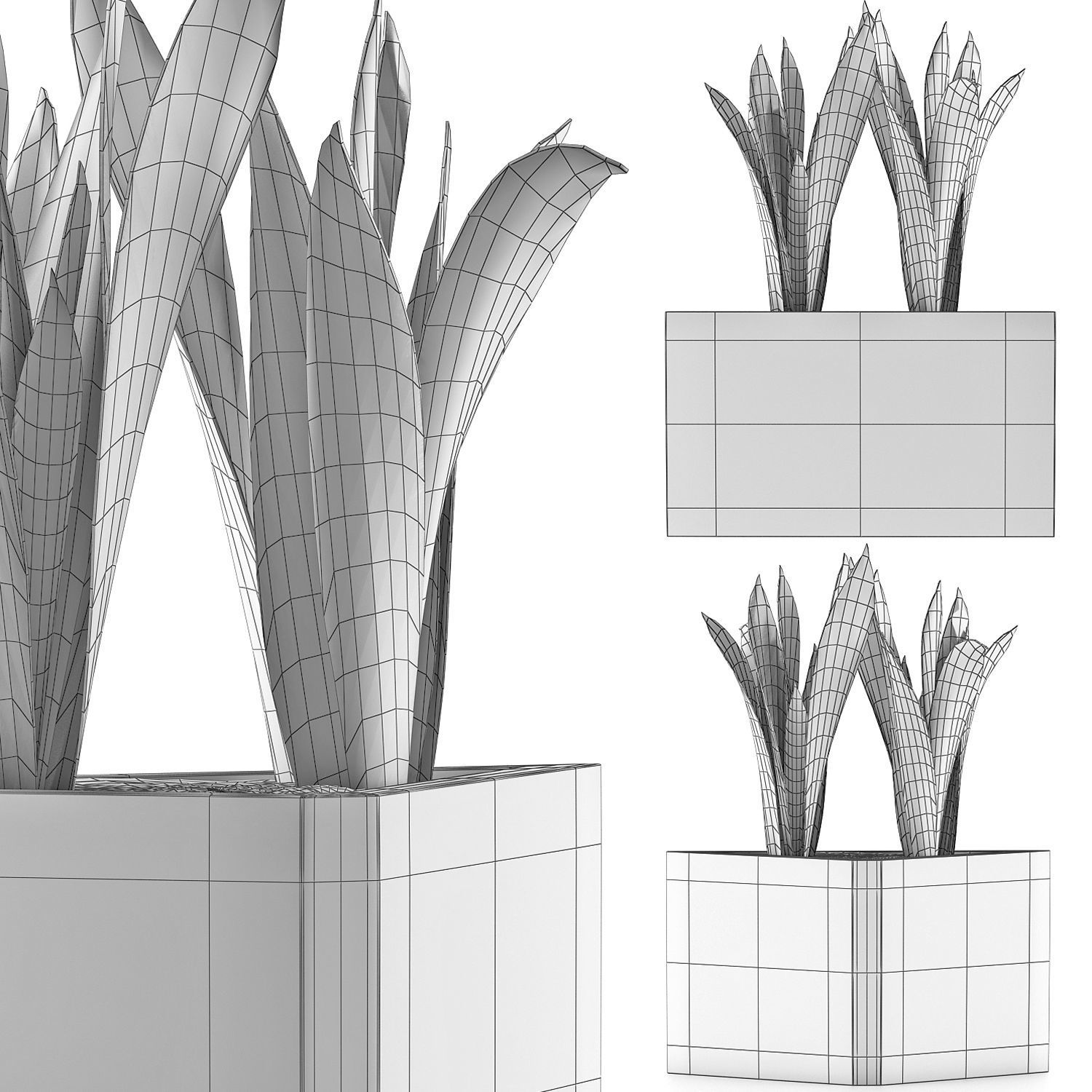 Plants Collection 103 3D model_4