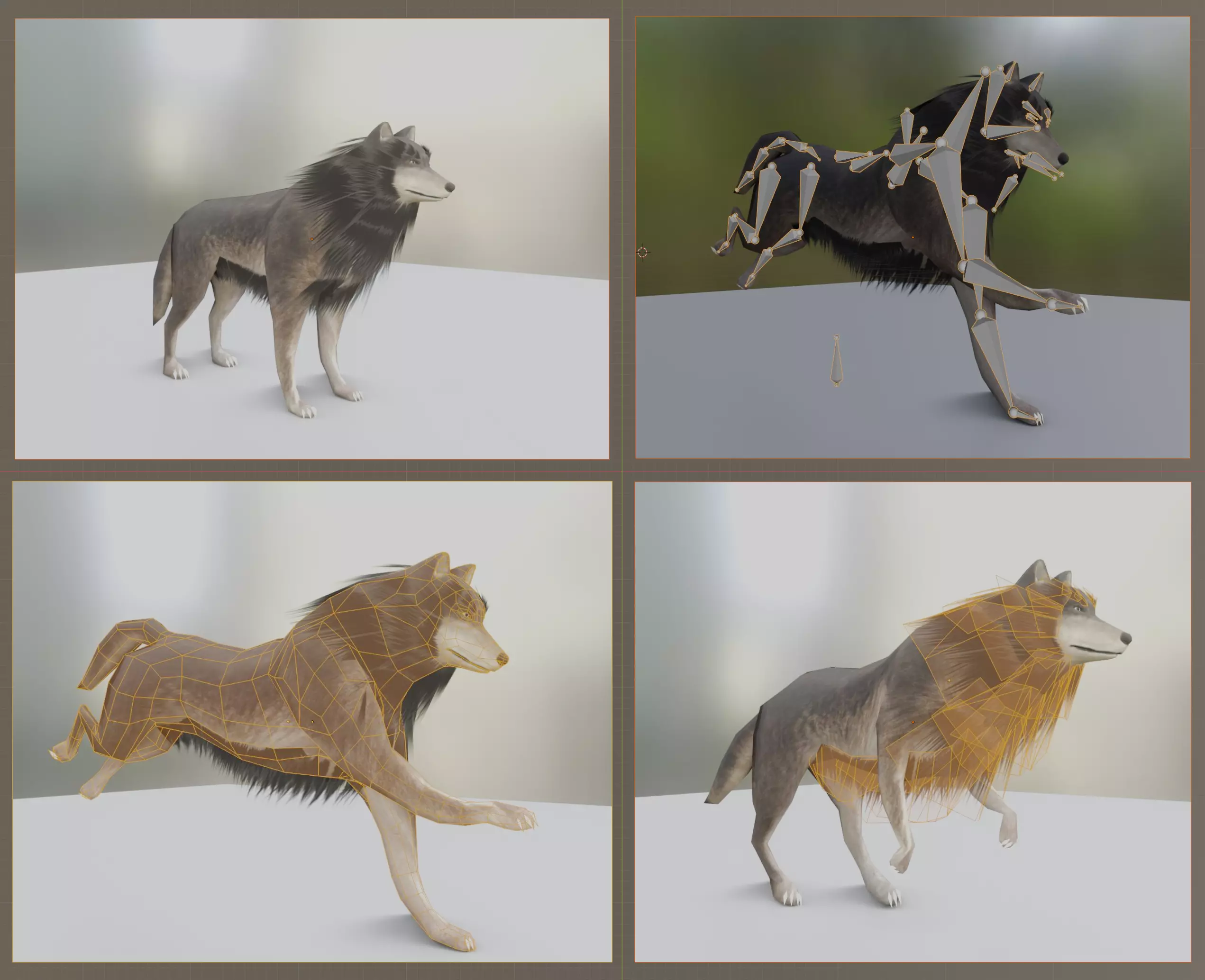 Wolf Rigged Low-poly and Game-Ready Blender-29 Version Low-poly 3D model