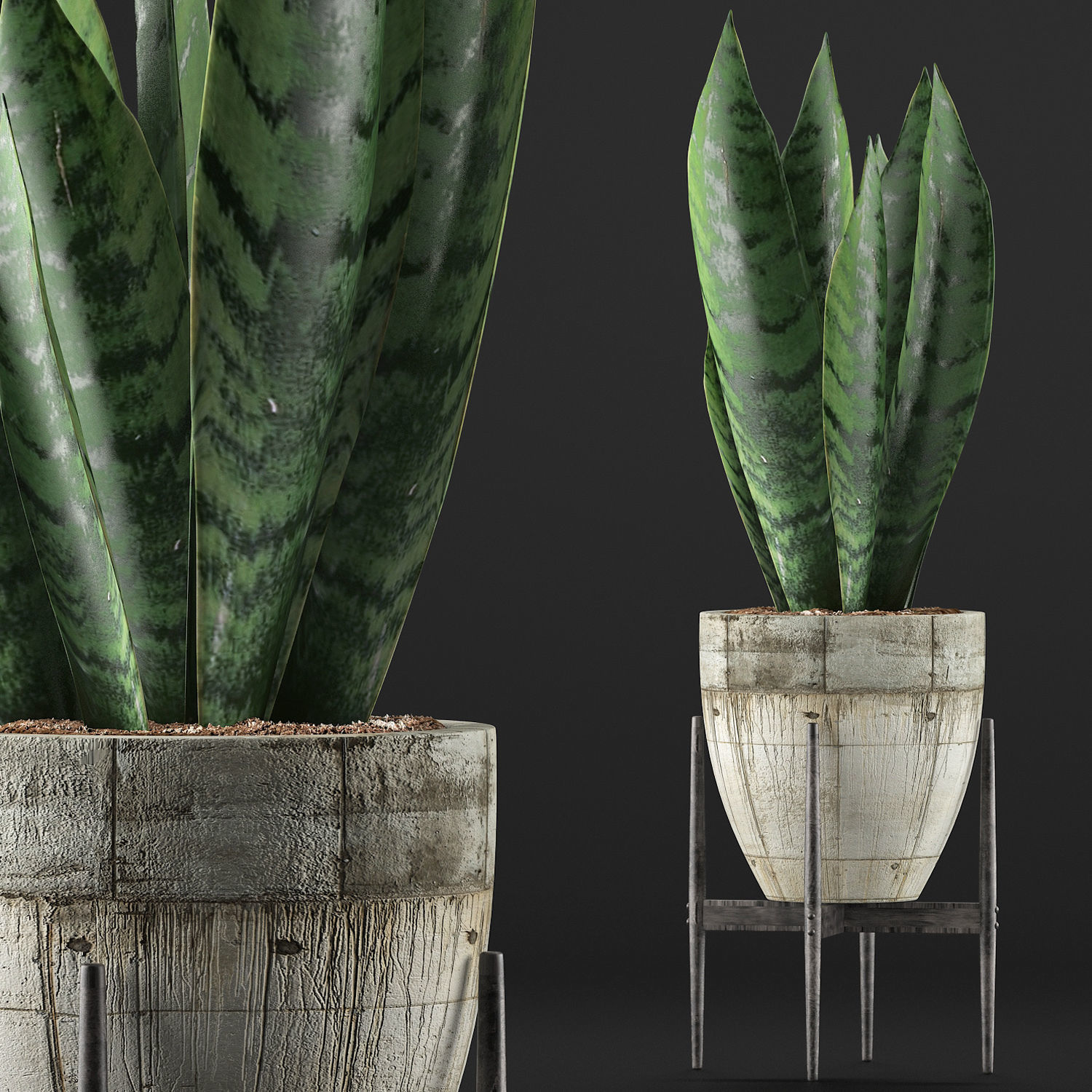 Plants Collection 104 3D model_2