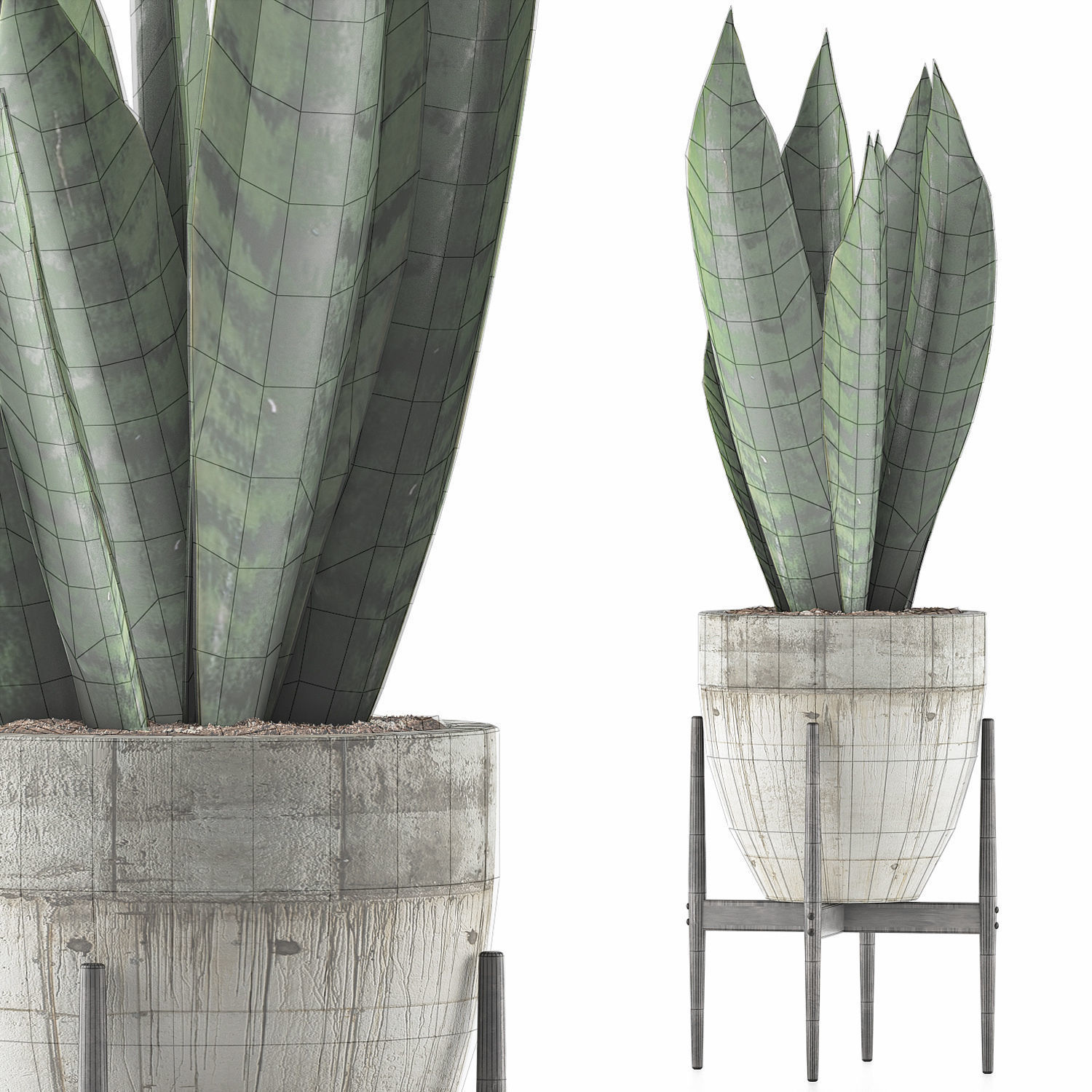 Plants Collection 104 3D model_6