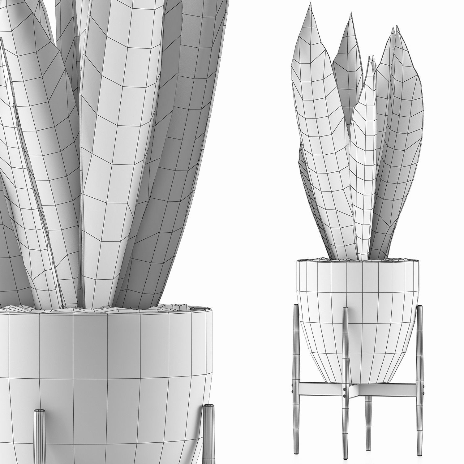 Plants Collection 104 3D model_4