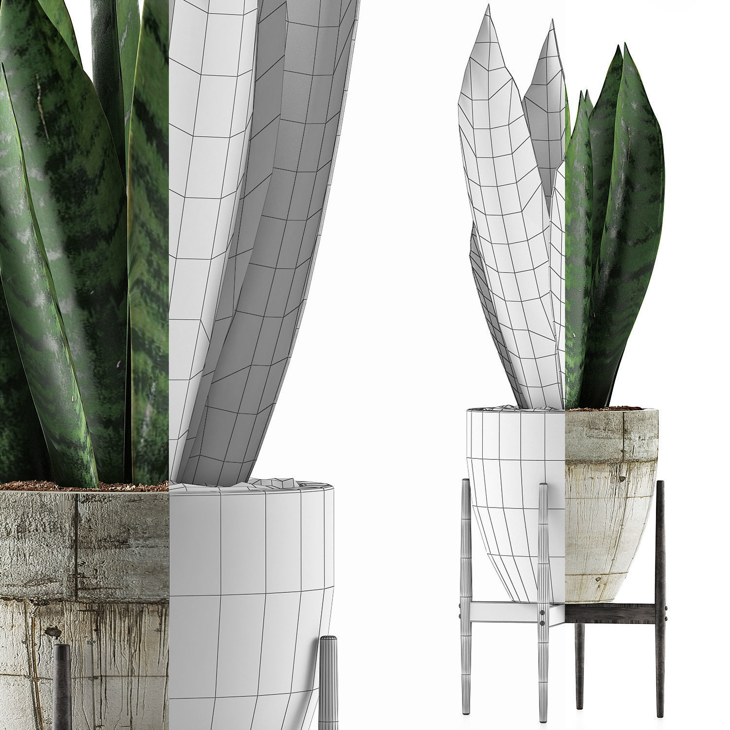 Plants Collection 104 3D model_7