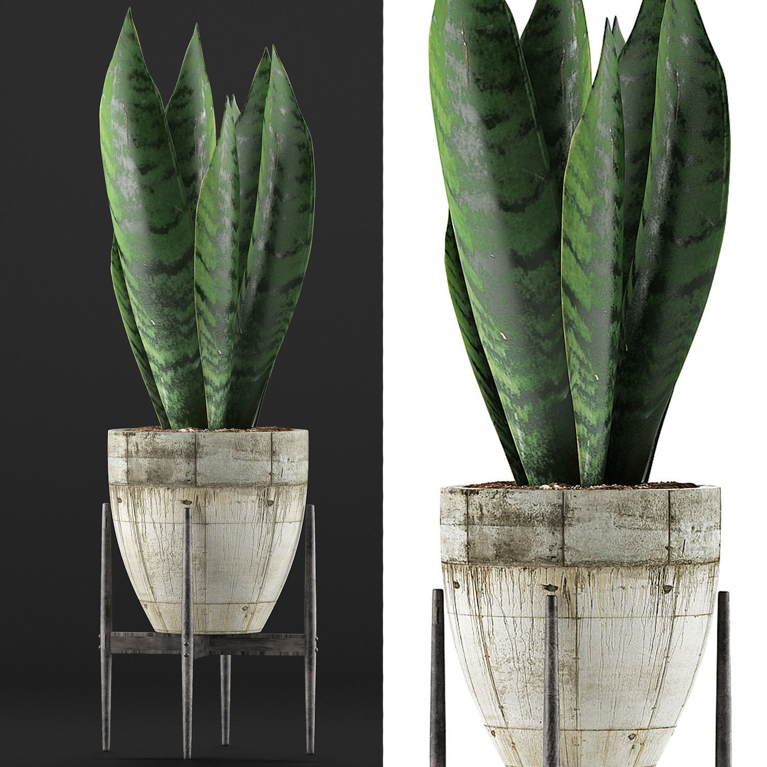 Plants Collection 104 3D model_3