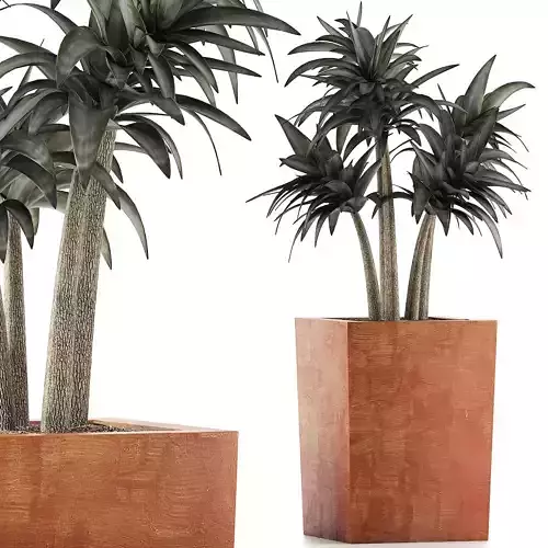 Plants Collection 106 3D model