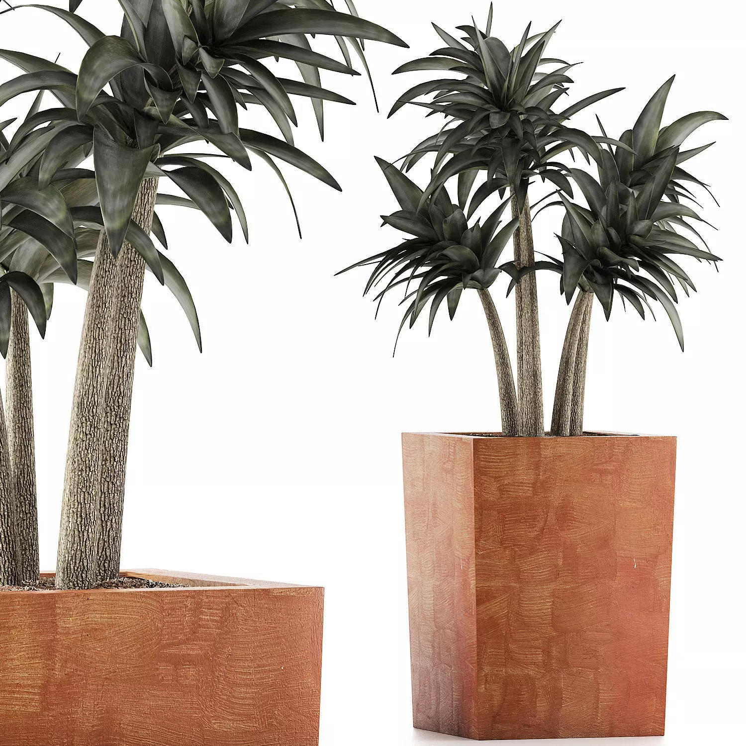 Plants Collection 106 3D model