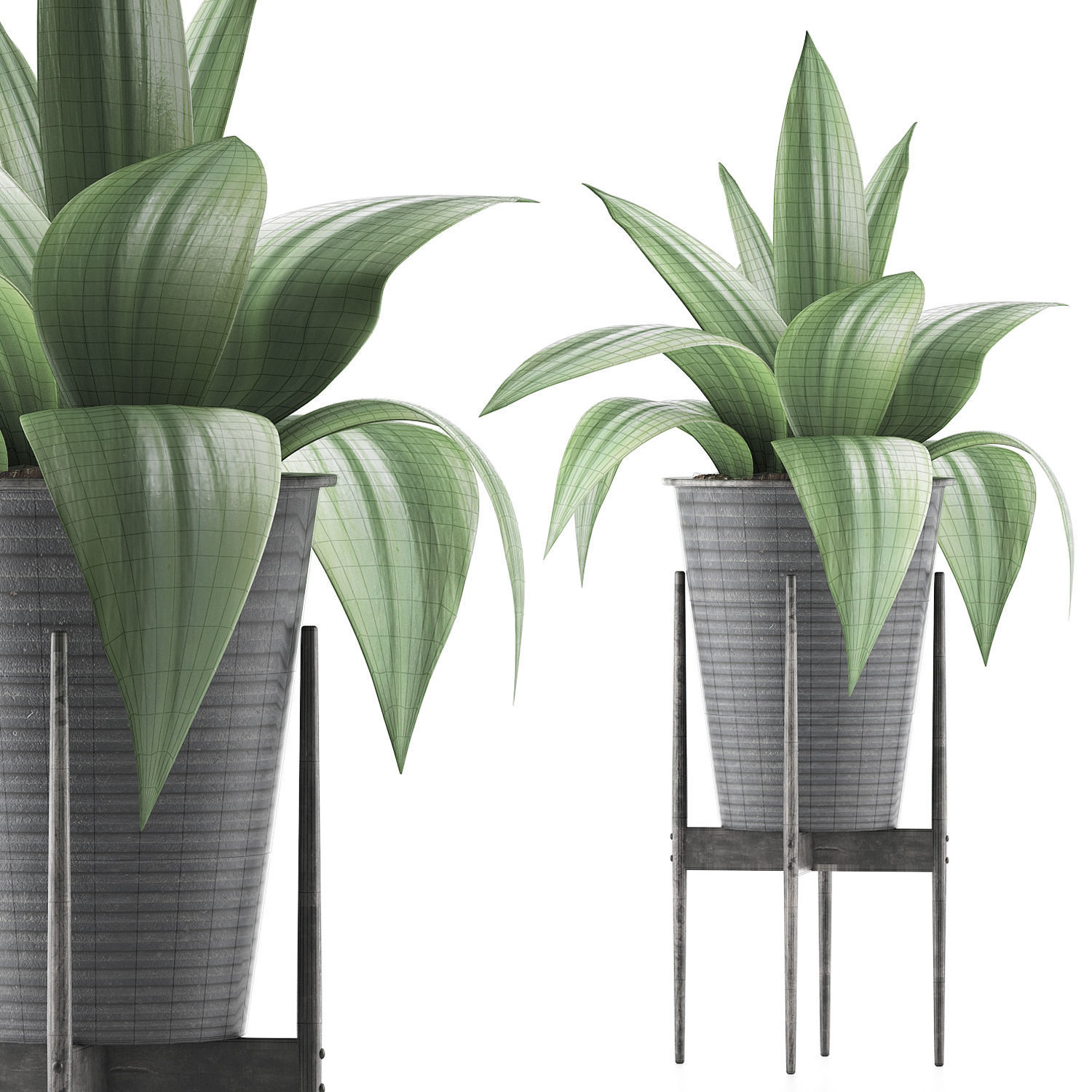 Plants Collection 107 3D model_6
