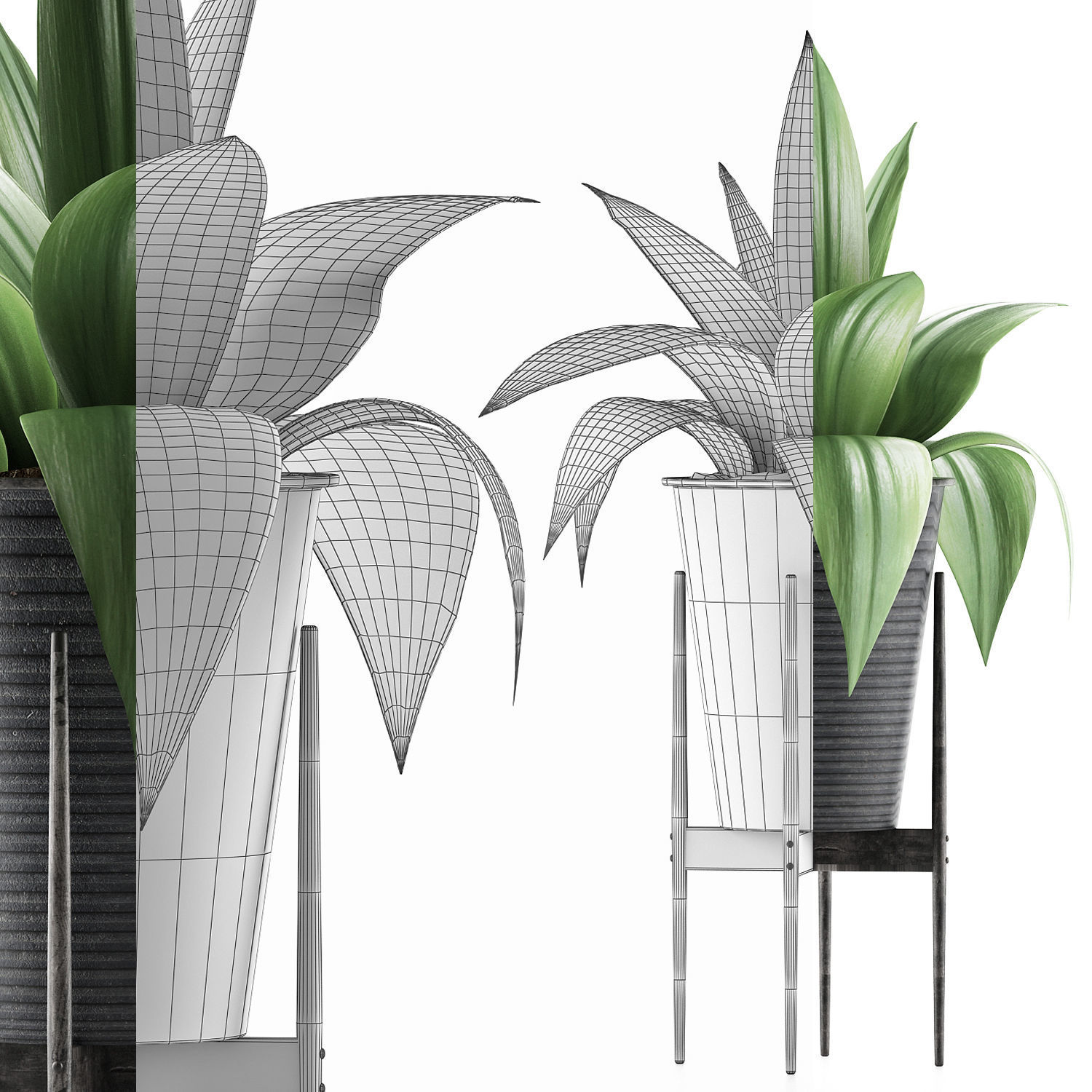 Plants Collection 107 3D model_7