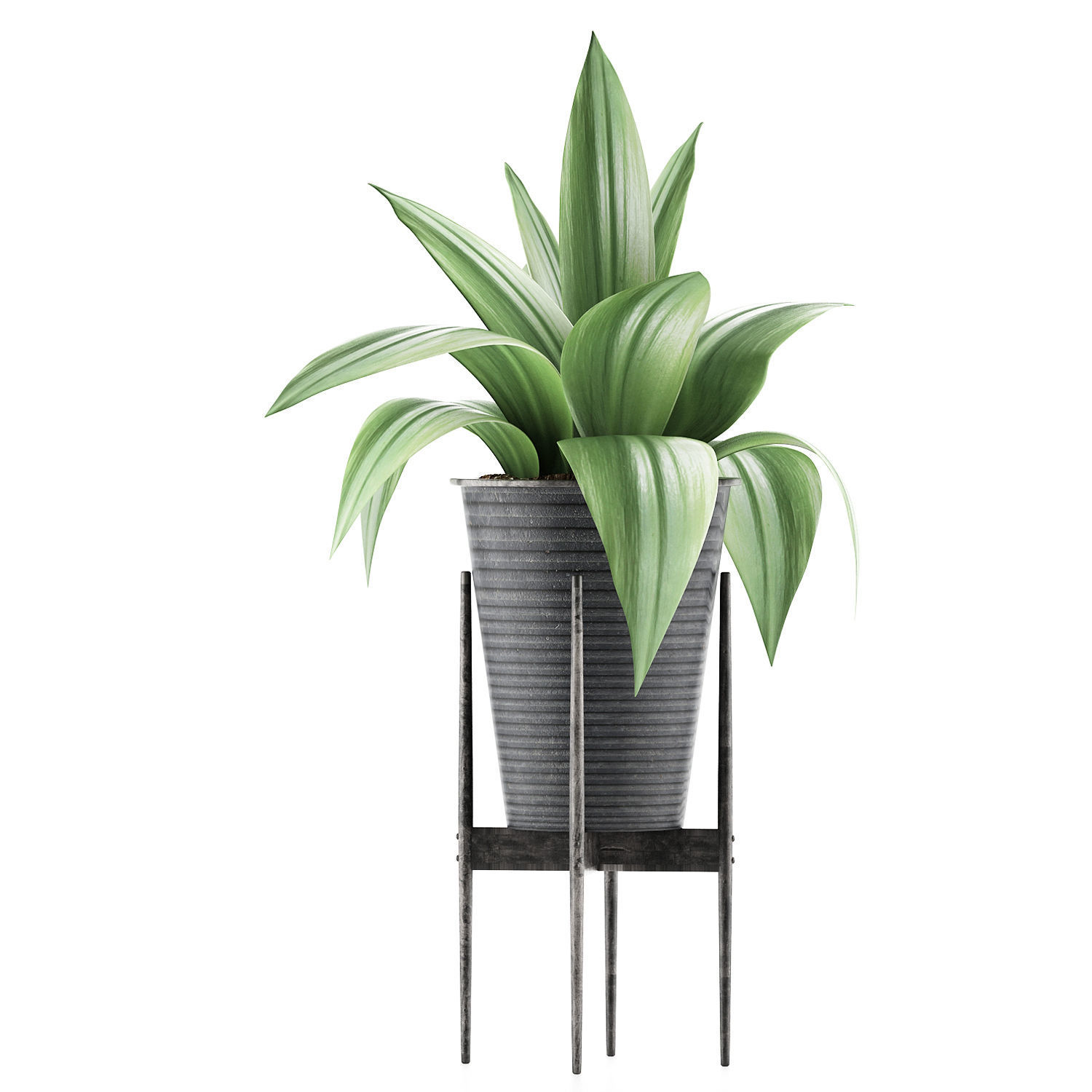 Plants Collection 107 3D model_1