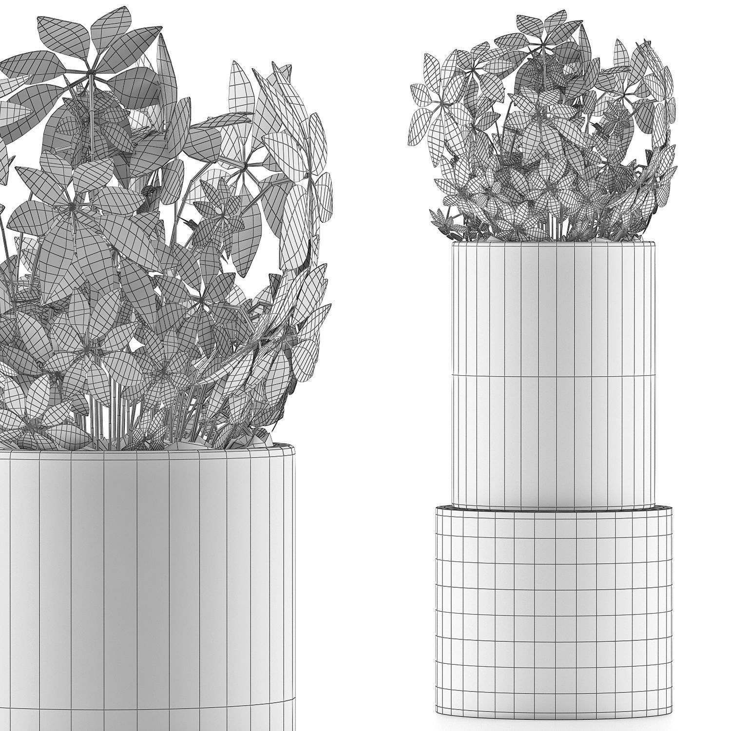 Plants Collection 110 3D model_4