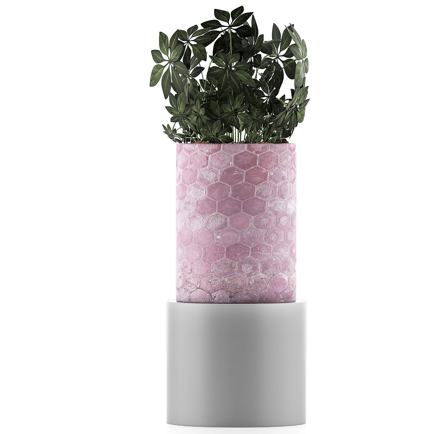 Plants Collection 110 3D model_1