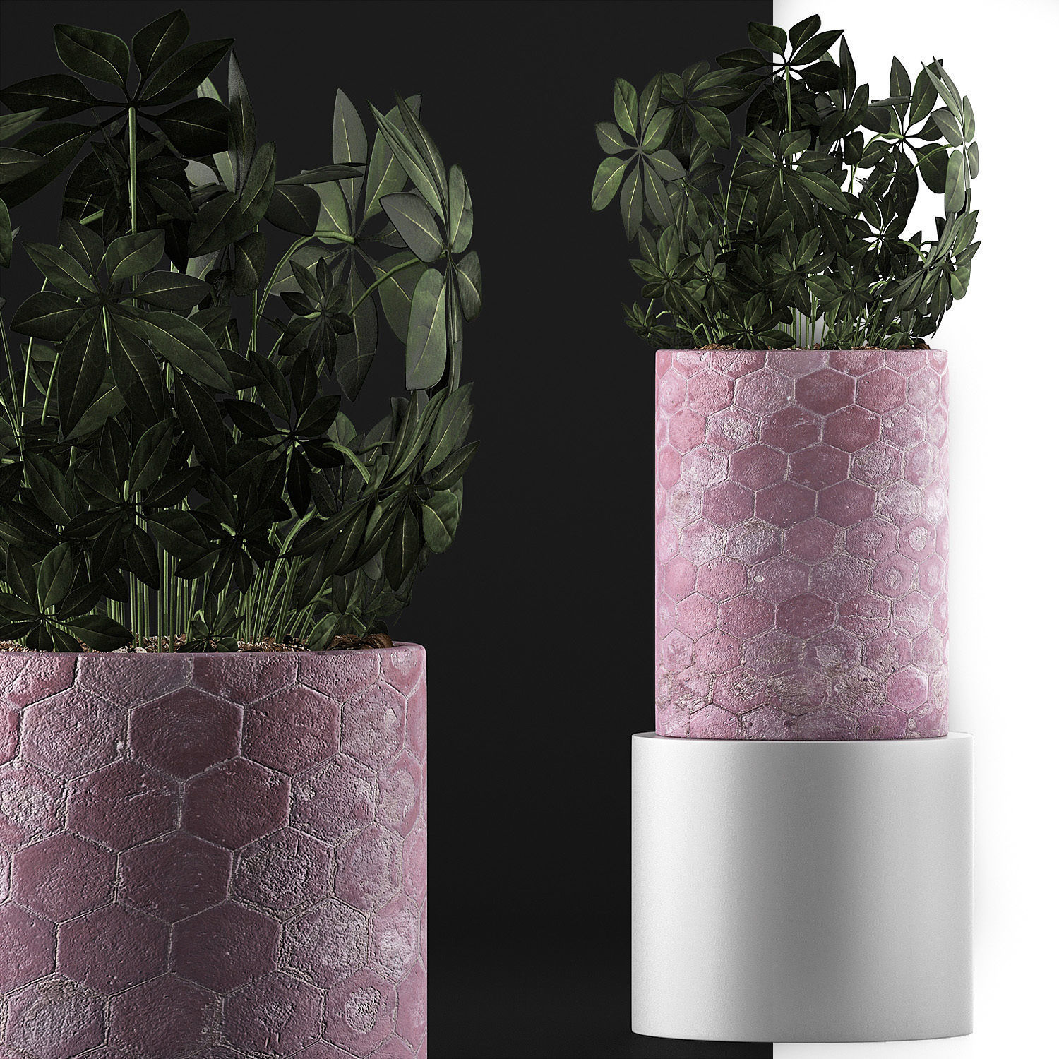 Plants Collection 110 3D model_5