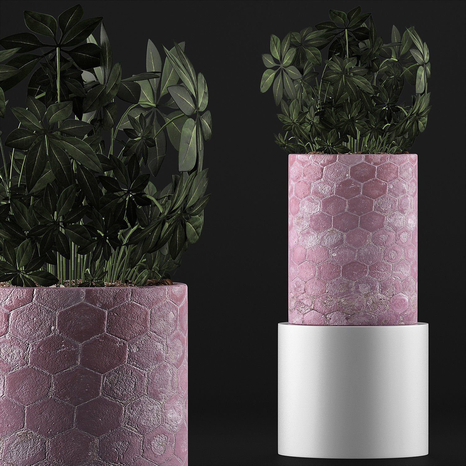 Plants Collection 110 3D model_2