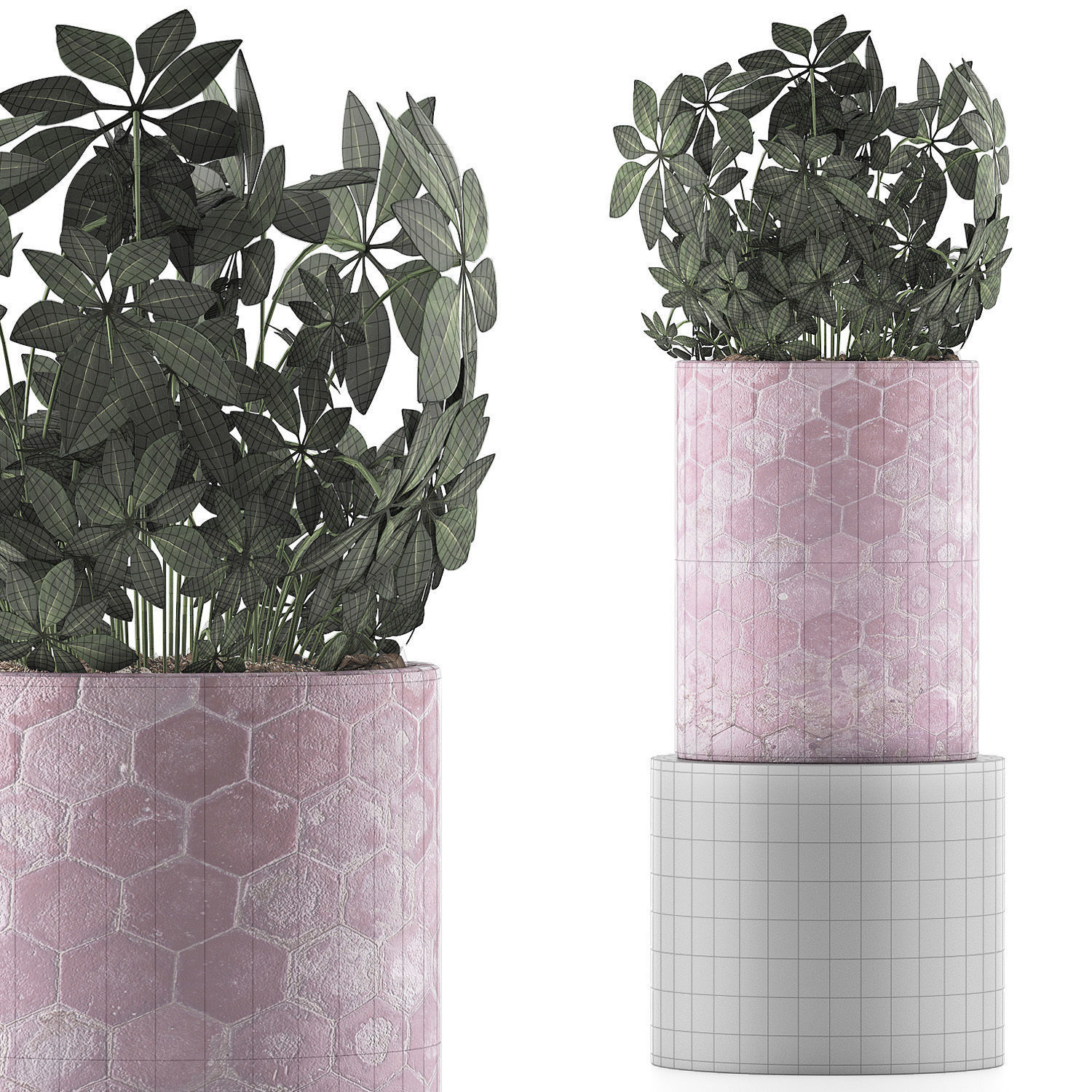 Plants Collection 110 3D model_6