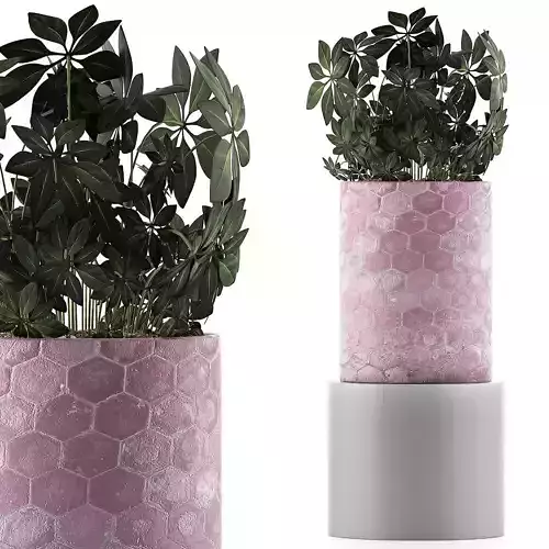 Plants Collection 110 3D model