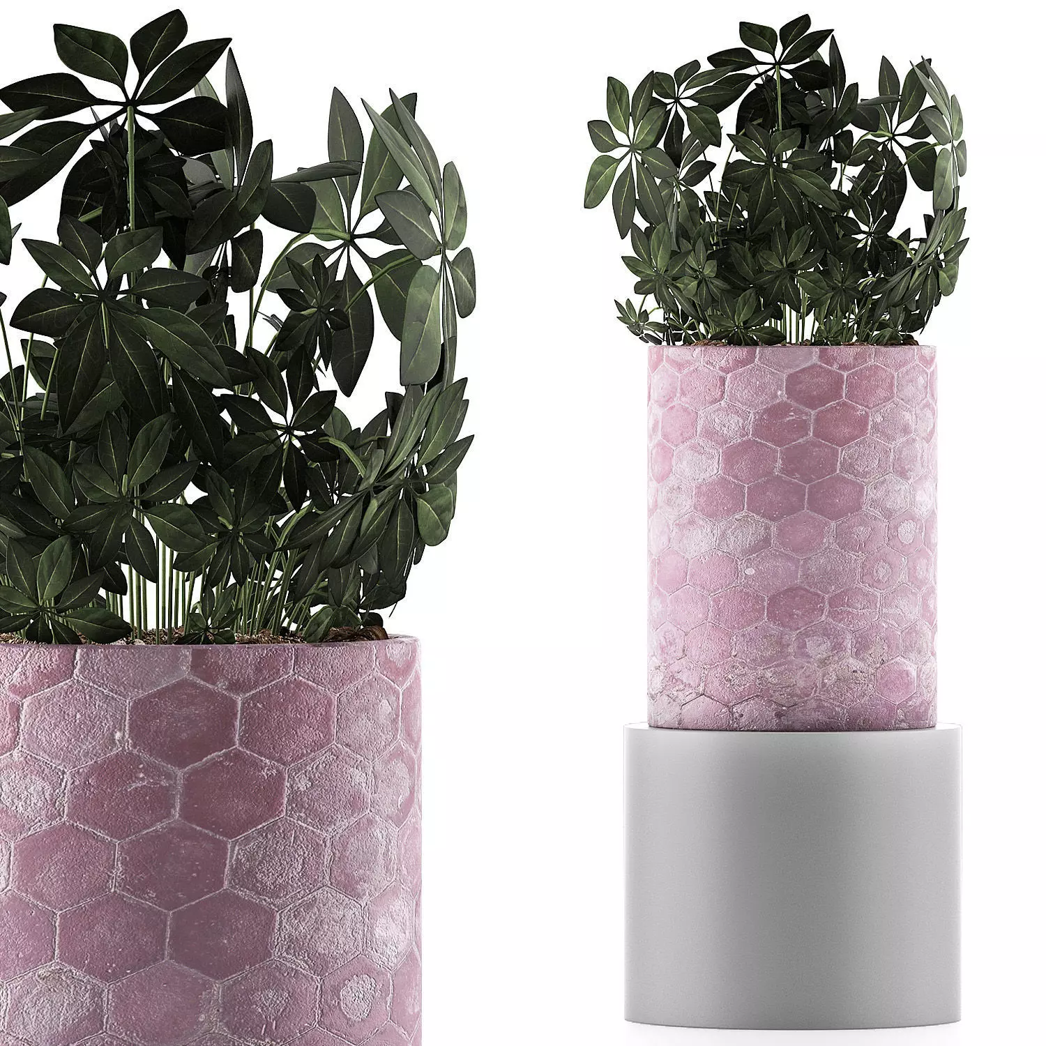 Plants Collection 110 3D model_0