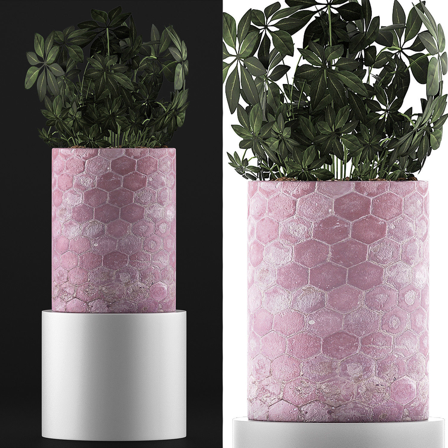 Plants Collection 110 3D model_3