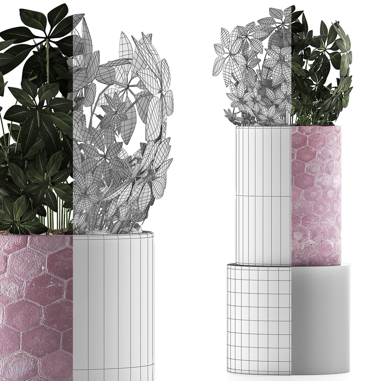 Plants Collection 110 3D model_7