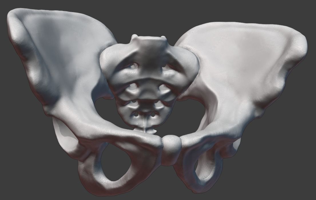 Pelvis and femurs 3D print model_14