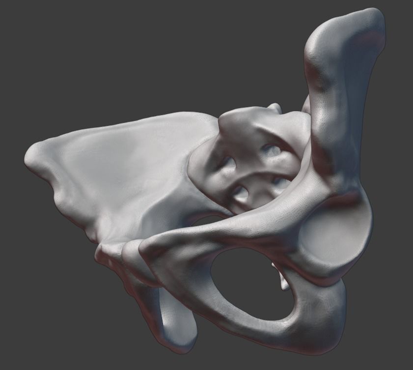 Pelvis and femurs 3D print model_15
