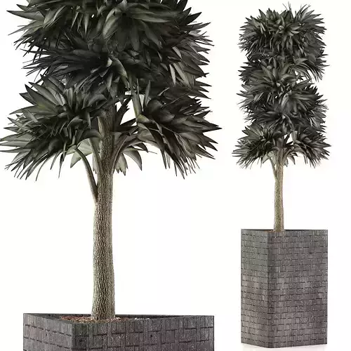 Plants Collection 113 3D model