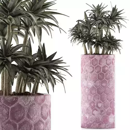 Plants Collection 115 3D model