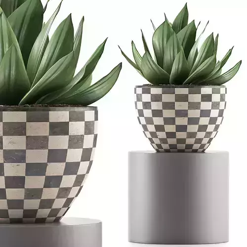 Plants Collection 118 3D model