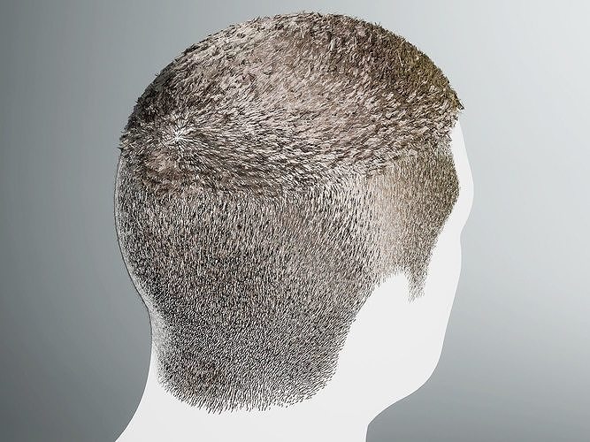 Realtime Male Hair - Short Haircut Low-poly 3D model