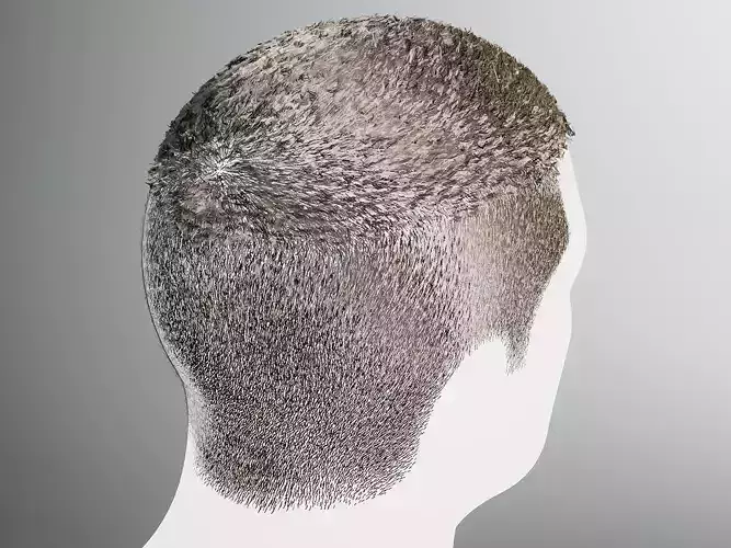Realtime Male Hair - Short Haircut Low-poly 3D model