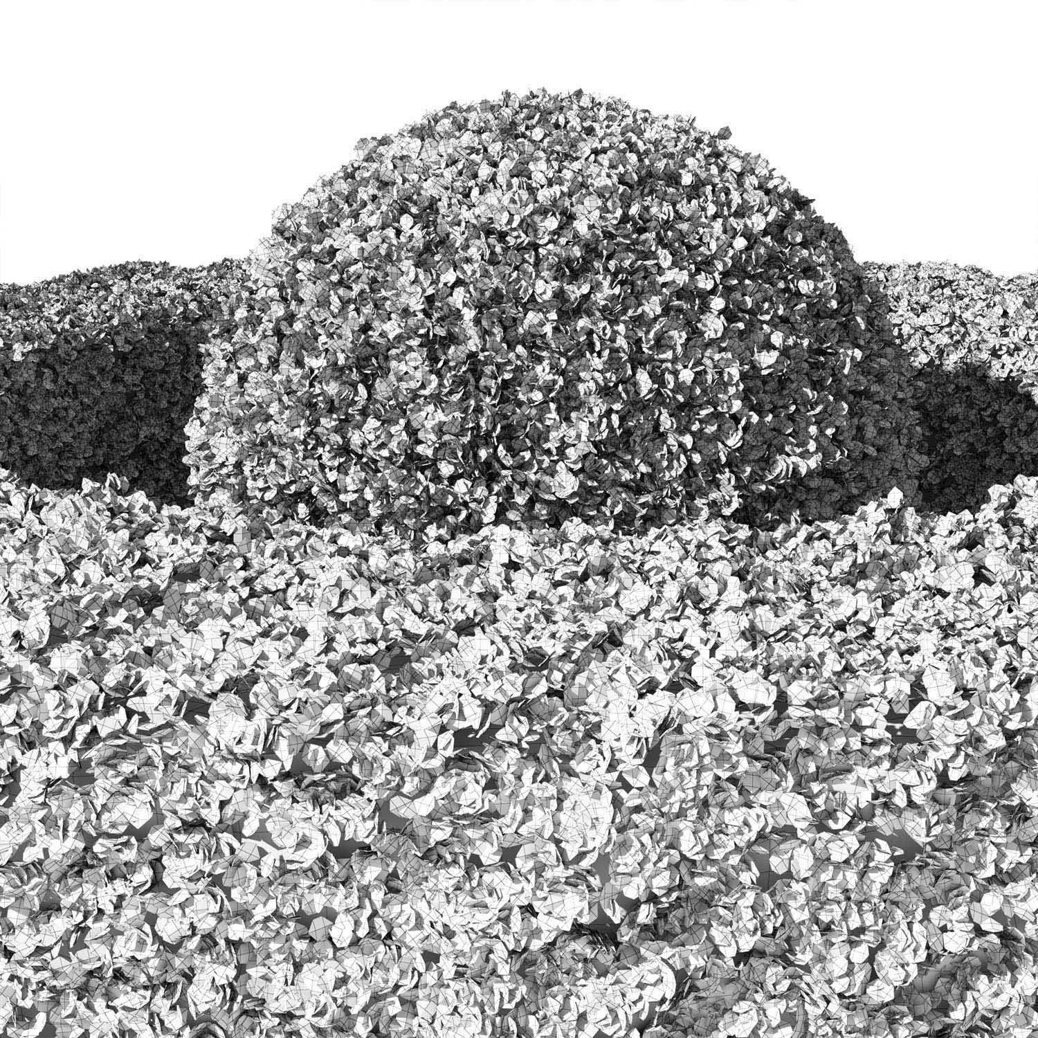 Buxus Sempervirens 01 3D model_6