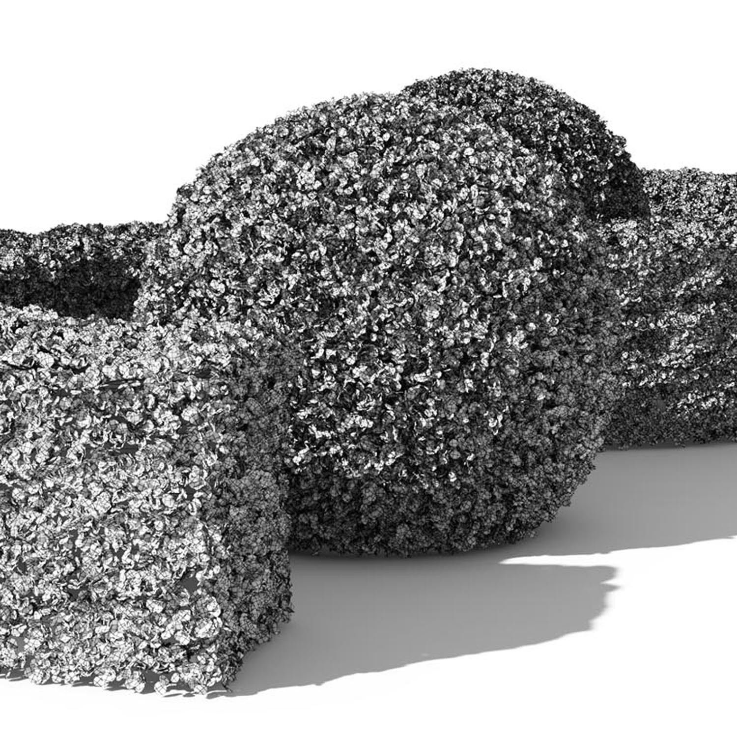 Buxus Sempervirens 01 3D model_4