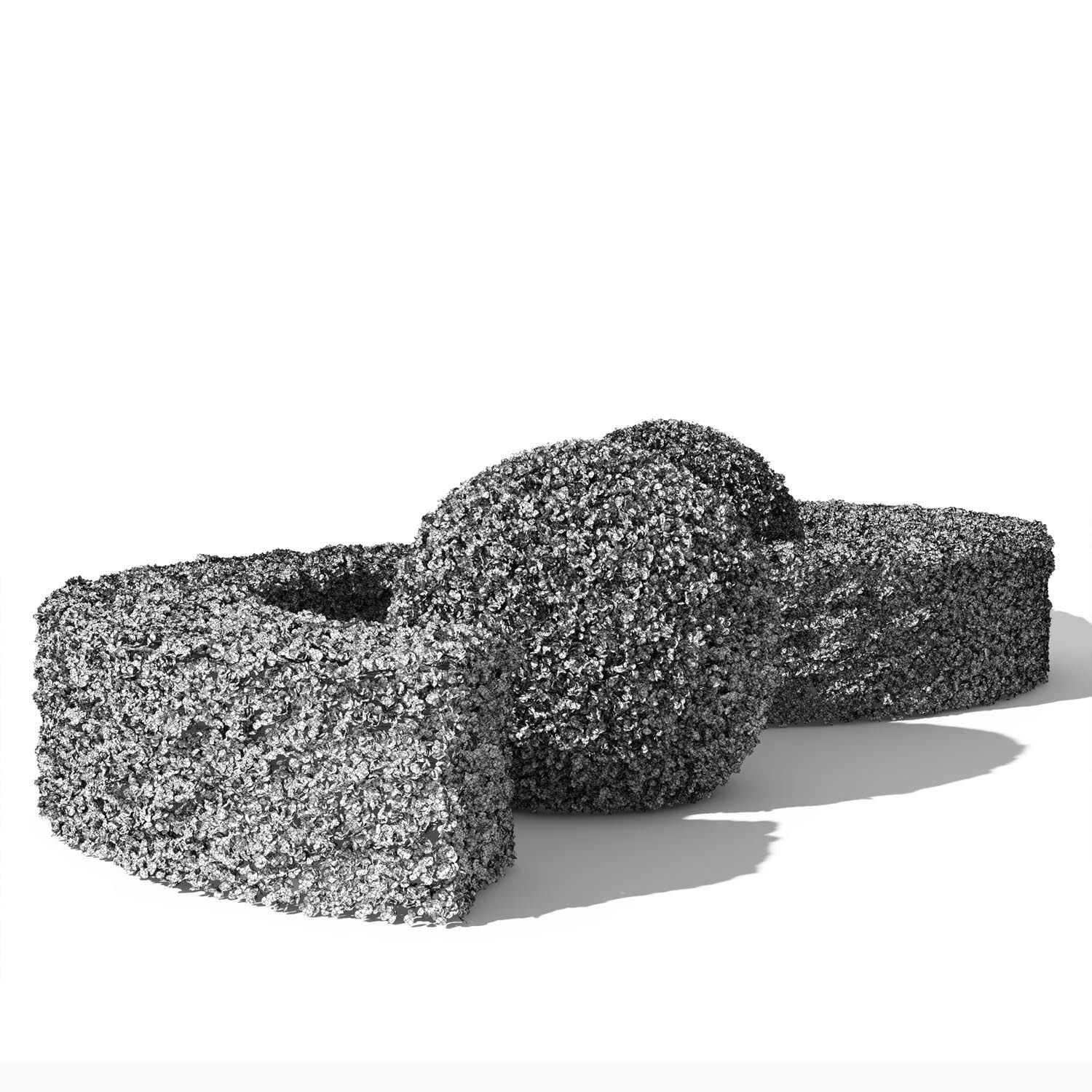 Buxus Sempervirens 01 3D model_5