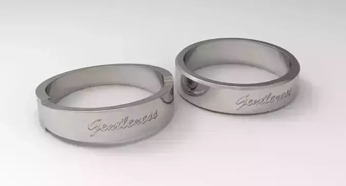 Gentleness Couple Ring Platinum