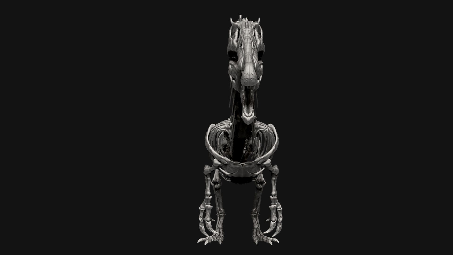 Dinosaur Spinosaurus Full Skeleton Sculpt Model 3D model_24