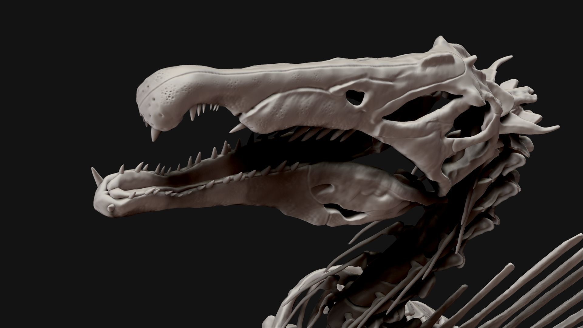 Dinosaur Spinosaurus Full Skeleton Sculpt Model 3D model_18
