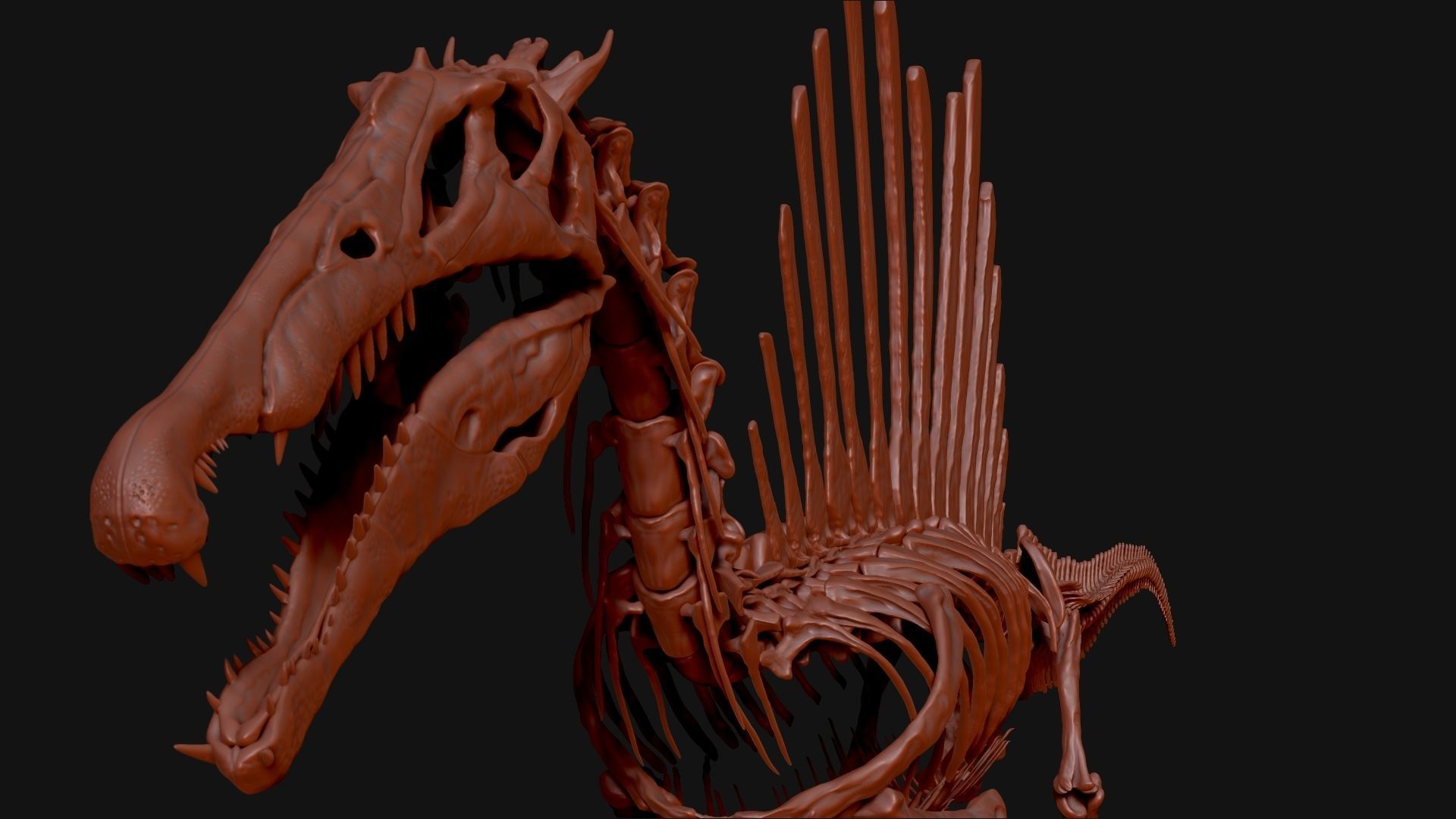 Dinosaur Spinosaurus Full Skeleton Sculpt Model 3D model_25