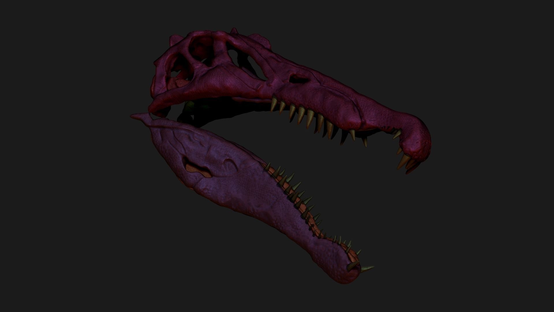 Dinosaur Spinosaurus Full Skeleton Sculpt Model 3D model_31