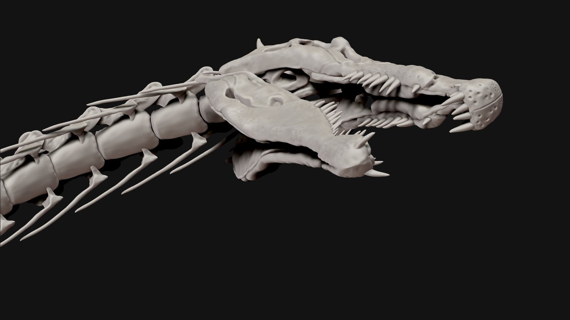 Dinosaur Spinosaurus Full Skeleton Sculpt Model 3D model_17