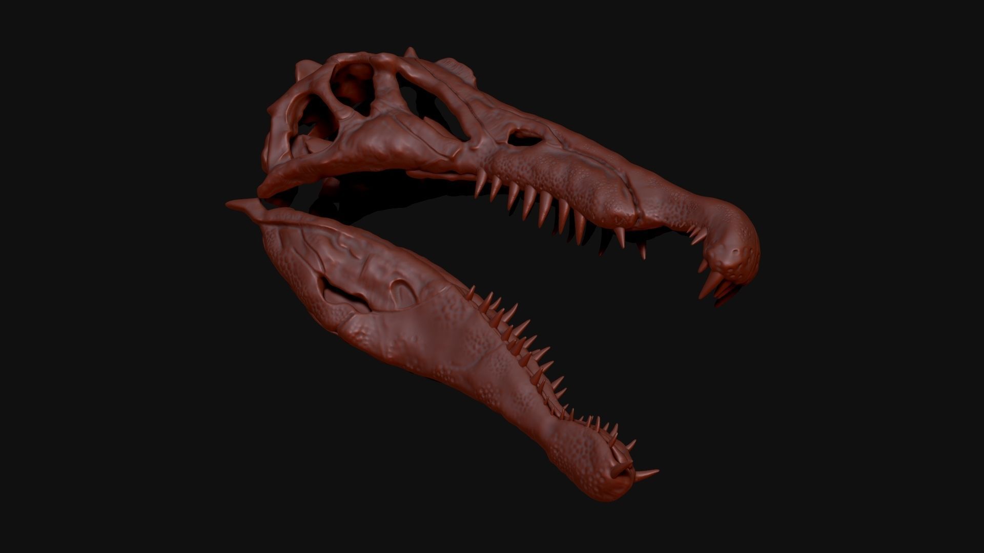 Dinosaur Spinosaurus Full Skeleton Sculpt Model 3D model_32