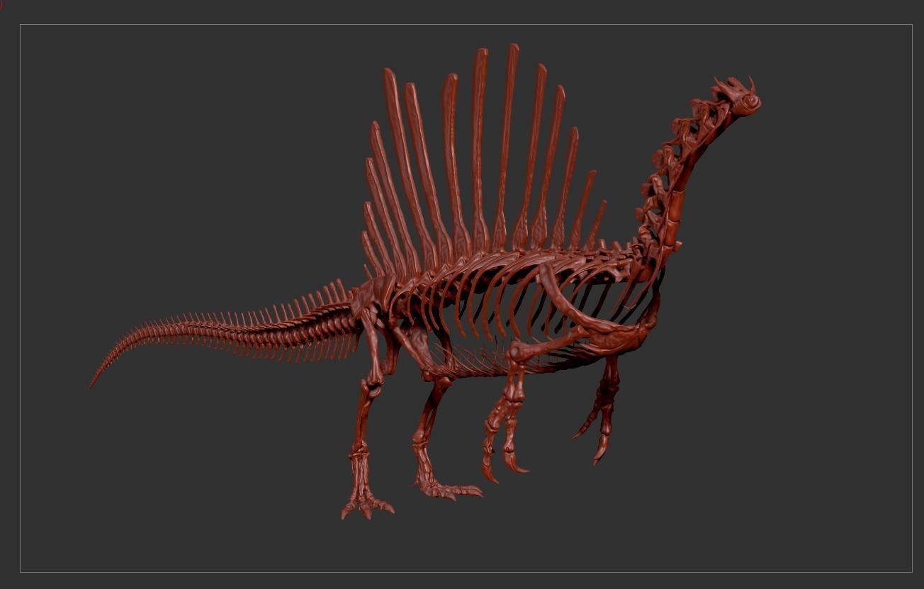 Dinosaur Spinosaurus Full Skeleton Sculpt Model 3D model_27