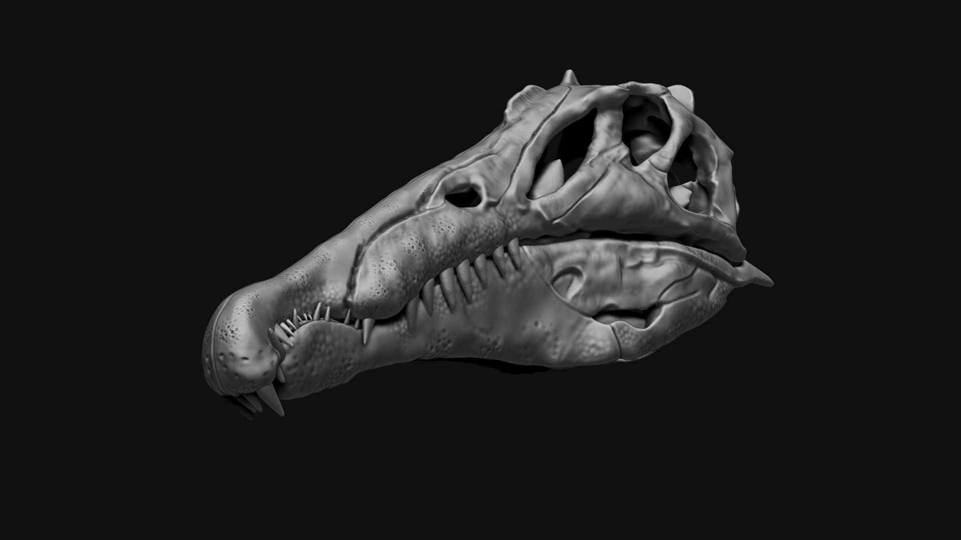 Dinosaur Spinosaurus Full Skeleton Sculpt Model 3D model_33
