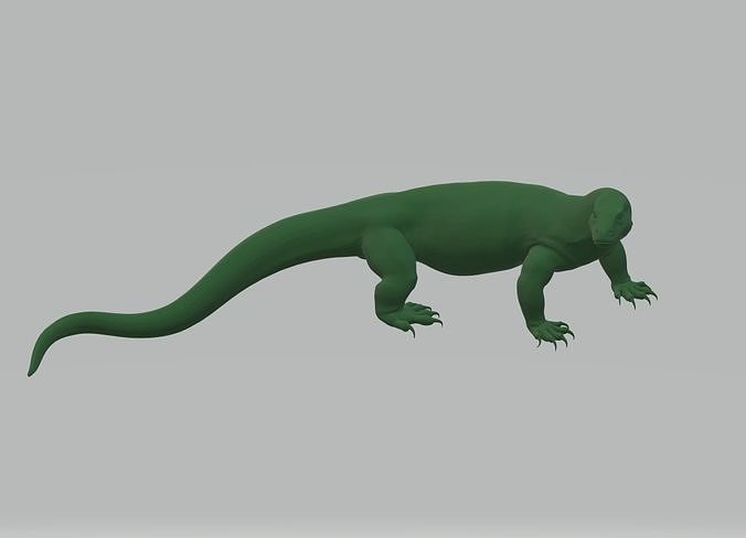 Waran lizard Free 3D print model