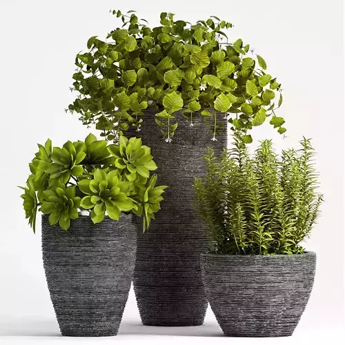 Decorative plant set-68