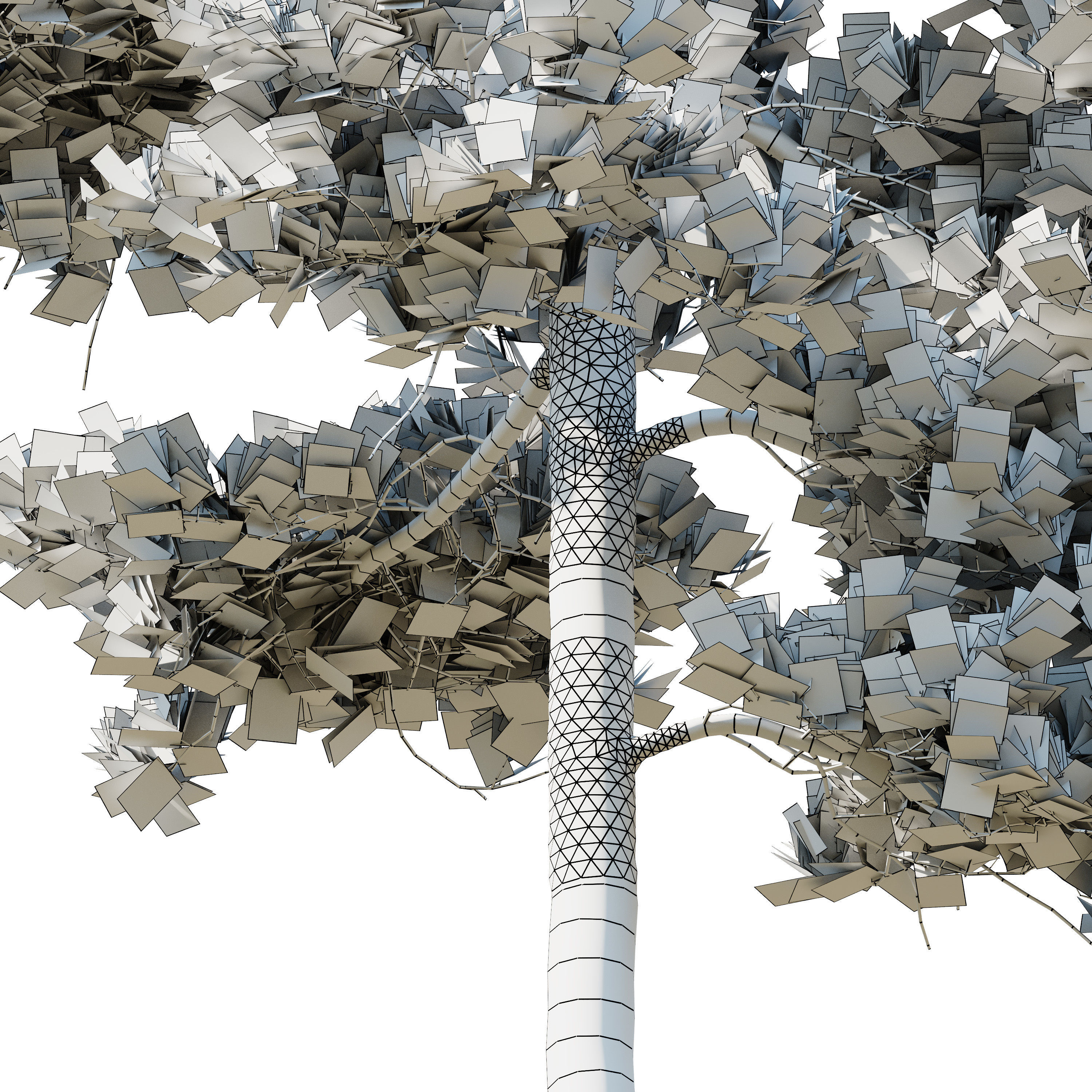 Pinus Syluestriformis Snow Pack of 12 Pines  3D model_15