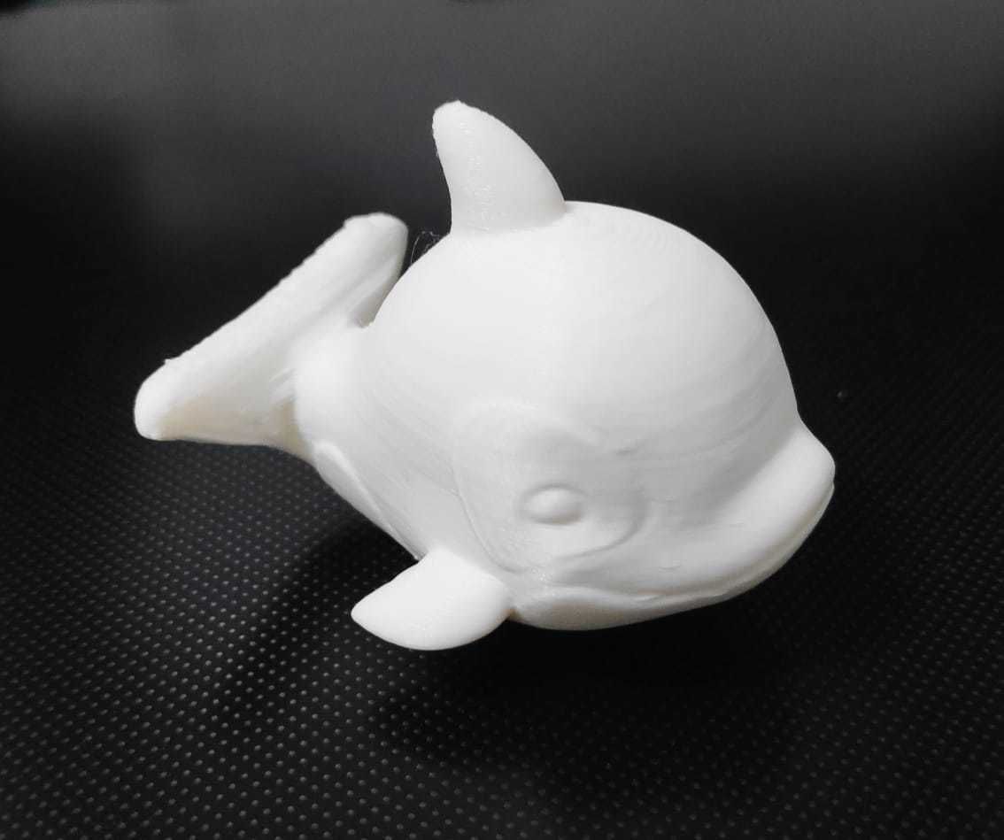 A cute Big Orca Whale 3D print model_4