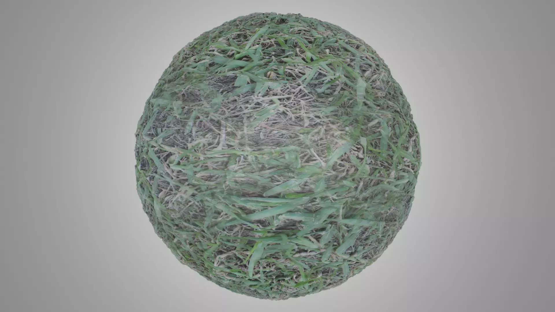 Grass and Ground Texture