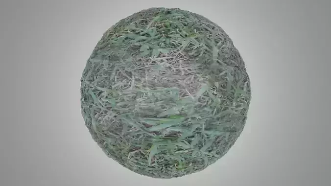 Grass and Ground Texture
